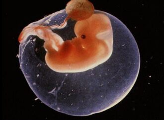 Η τροποποίηση ανθρώπινου εμβρυϊκού DNA είναι γεγονός