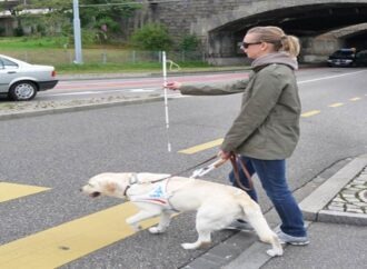 Eπιτρέπονται οι σκύλοι οδηγοί στα λεωφορεία