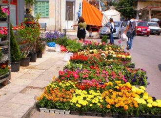 Ποια σύζυγος Βουλευτή πουλάει λουλούδια στην λαϊκή;