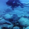 Δήλος: Σημαντικά ευρήματα από την υποθαλάσσια έρευνα (φώτο)