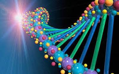 dna