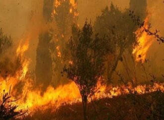 57 δασικές πυρκαγιές το τελευταίο 24ωρο – Υψηλός κίνδυνος πυρκαγιάς την Κυριακή στις Περιφέρειες Αττικής, Στ. Ελλάδας και Β. Αιγαίου