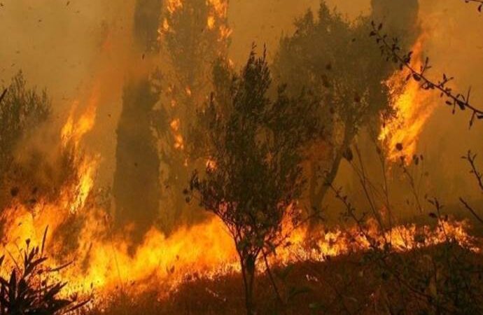 57 δασικές πυρκαγιές το τελευταίο 24ωρο – Υψηλός κίνδυνος πυρκαγιάς την Κυριακή στις Περιφέρειες Αττικής, Στ. Ελλάδας και Β. Αιγαίου
