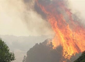 Υπό μερικό έλεγχο η πυρκαγιά στο Άγιον Όρος