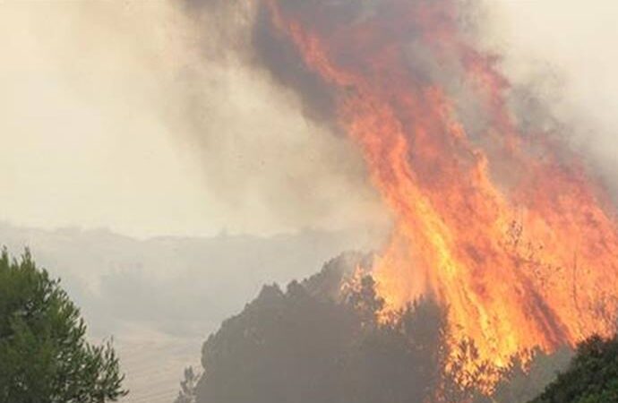 Υπό μερικό έλεγχο η πυρκαγιά στο Άγιον Όρος