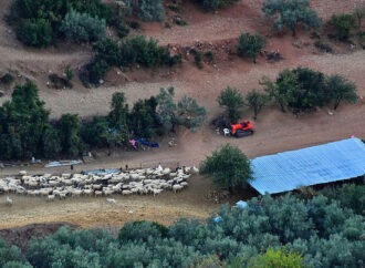 Μέτρα για τη ζωονόσο της ευλογιάς στη Λέσβο