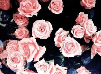 Τα ζώδια σήμερα: 4 Απριλίου!