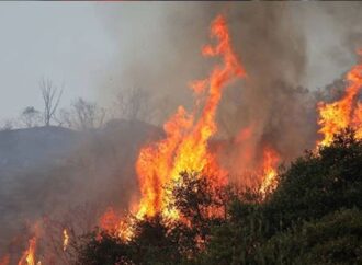 Σε ύφεση η πυρκαγιά στην Φρίξα της Ηλείας