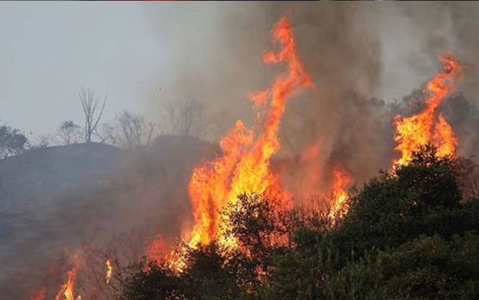 Σε ύφεση η πυρκαγιά στην Φρίξα της Ηλείας