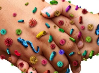 Ποια είναι τα μυστικά των μικροβίων;