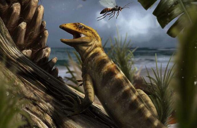 Ανακάλυψαν πλάσμα που αλλάζει όσα ξέραμε για την εξέλιξη στη Γη