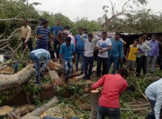 Ινδία: 150 νεκροί από τις αμμοθύελλες και τις σφοδρές καταιγίδες