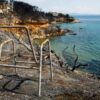 10 εκατ. ευρώ από τη Βουλή για να μοιραστούν στα παιδιά που έχασαν τους γονείς τους στις πυρκαγιές