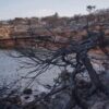 Οι υψηλές θερμοκρασίες και οι ισχυροί άνεμοι ευνόησαν την εξάπλωση της φωτιάς στο Μάτι