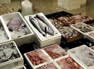 Δέσμευση 680 κιλών ψαριών σε επιχείρηση του Πειραιά