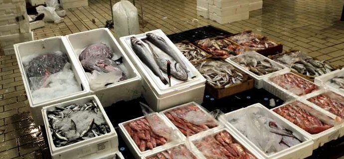 Δέσμευση 680 κιλών ψαριών σε επιχείρηση του Πειραιά