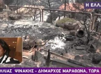 Ο Ψινάκης εξηγεί γιατί είχε… εξαφανιστεί στις φωτιές: ‘Η κάθεσαι και δουλεύεις, ή κάνεις δηλώσεις