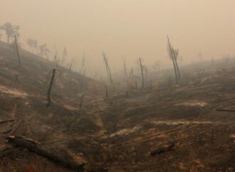 Σε φονικό πύρινο κλοιό η Καλιφόρνια – 17 μεγάλες πυρκαγιές