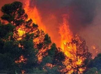 Το προφίλ 65χρονου που φέρεται να προκάλεσε τη φονική πυρκαγιά