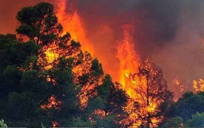 Το προφίλ 65χρονου που φέρεται να προκάλεσε τη φονική πυρκαγιά