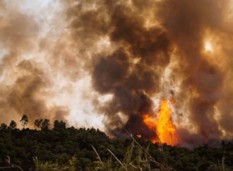 Πυκνό δάσος καίει η φωτιά στη Θάσο