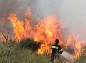 Υπό μερικό έλεγχο η πυρκαγιά σε αγροτοδασική έκταση στους Κήπους Βραυρώνας