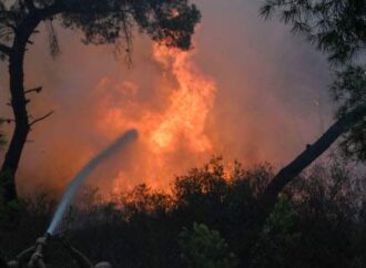 Τρίπολη: Υπό μερικό έλεγχο η φωτιά στην περιοχή Χιράδες