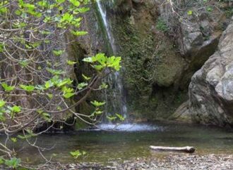 Σητεία: Τουρίστρια πήγε για νυχτερινό περπάτημα στο φαράγγι και χάθηκε