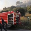 Μεγάλη φωτιά σε βαλτώδη περιοχή στο Καπελέτο Ηλείας -Τέθηκε υπό έλεγχο