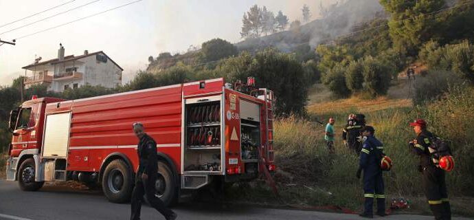Μεγάλη φωτιά σε βαλτώδη περιοχή στο Καπελέτο Ηλείας -Τέθηκε υπό έλεγχο