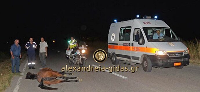 Σοβαρό τροχαίο στο Αγρίνιο -Αλογο έπεσε πάνω σε αυτοκίνητο [εικόνες]