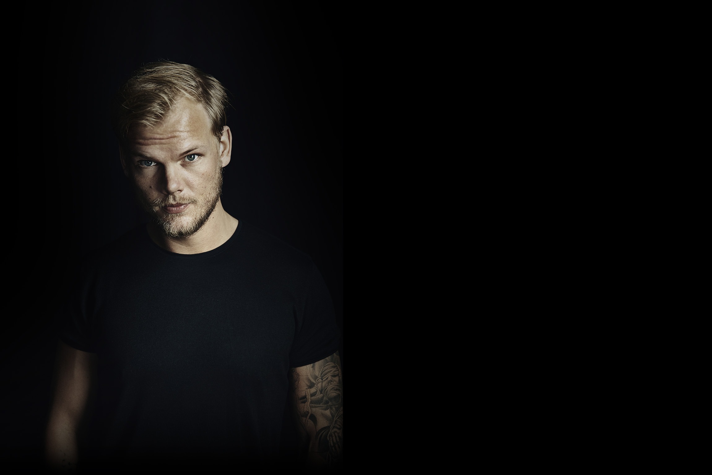 Image result for avicii