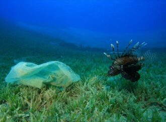 Προς φιλικά προς το περιβάλλον, ανανεώσιμα «βιοπλαστικά»