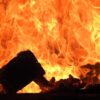 ΣΔΟΕ: Στην πυρά περισσότερα από 26 εκατ. οπιούχα ναρκωτικά χάπια