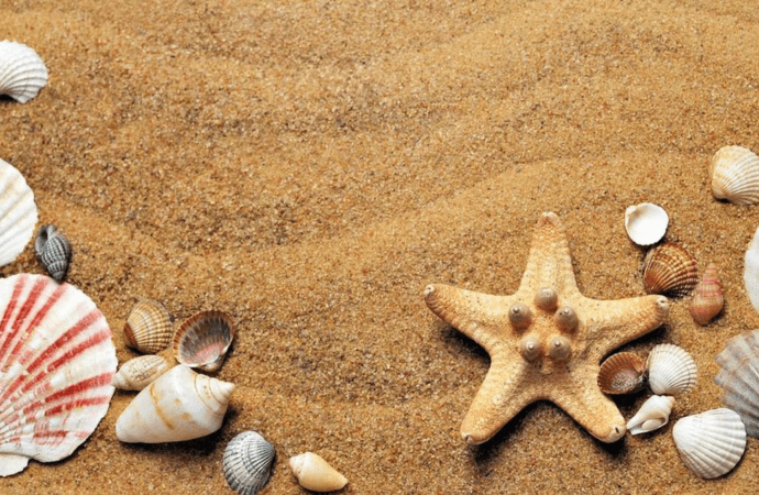 ΟΑΕΔ – Voucher: Πώς να κάνετε δωρεάν διακοπές με τα παιδιά σας