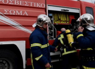 Κάηκαν δεκάδες κατοικίδια από φωτιά σε λυόμενο στη Νέα Μηχανιώνα