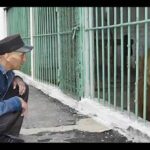 Καζακστάν: Αρκούδα… εκτίει ισόβια σε φυλακή υψίστης ασφαλείας