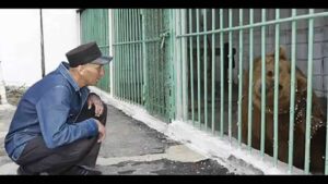 Καζακστάν: Αρκούδα… εκτίει ισόβια σε φυλακή υψίστης ασφαλείας