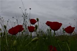 Καιρός: Πώς θα κάνουμε Επιτάφιο, Ανάσταση και Πάσχα