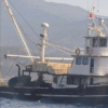 Βίντεο – ντοκουμέντο: Οι Τούρκοι μια ανάσα από την Ψέριμο – «Ρε αλήτες, είστε στην Ελλάδα»