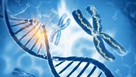 Οι επιστήμονες ερευνούν αν το DNA μας δείχνει πότε θα αρρωστήσουμε