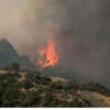 Χαλκιδική: Υπό έλεγχο η φωτιά στο Καλαμίτσι