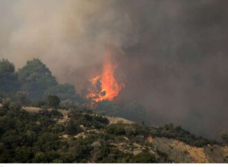 Χαλκιδική: Υπό έλεγχο η φωτιά στο Καλαμίτσι