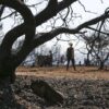 Με «ερημοποίηση» κινδυνεύει το ένα τρίτο των ελληνικών εδαφών