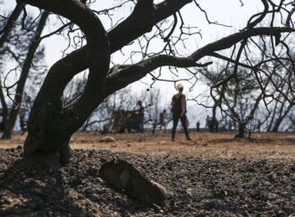 Με «ερημοποίηση» κινδυνεύει το ένα τρίτο των ελληνικών εδαφών