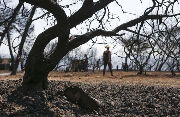 Με «ερημοποίηση» κινδυνεύει το ένα τρίτο των ελληνικών εδαφών