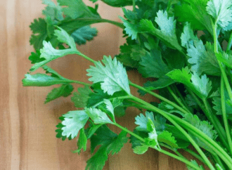 Κόλιανδρος: Γνωρίστε τα μοναδικά οφέλη του για την ψυχική και σωματική υγεία