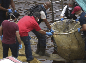 Κύπρος: «Πάγωσε» ο αρχηγός της Αστυνομίας όταν άνοιξε την τρίτη βαλίτσα του «Ορέστη»