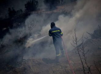 Φωτιά στην Εύβοια: Ολονύχτια «μάχη» με τις φλόγες