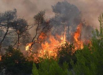 Μάχη με τις φλόγες σε επτά μέτωπα